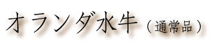 オランダ水牛(通常品)